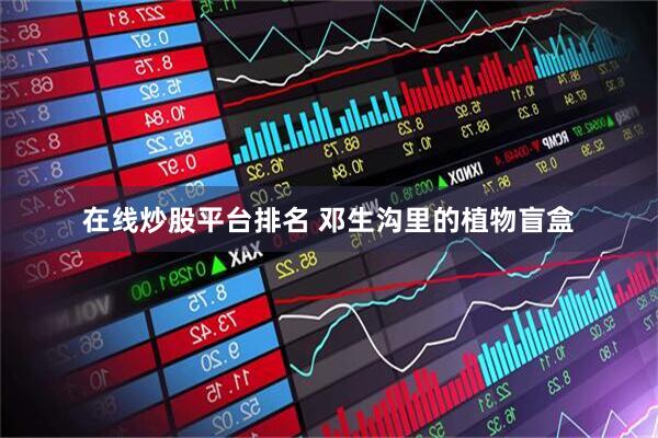 在线炒股平台排名 邓生沟里的植物盲盒
