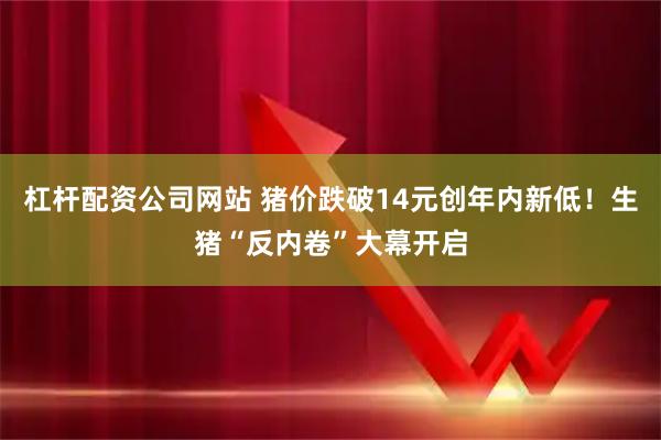 杠杆配资公司网站 猪价跌破14元创年内新低！生猪“反内卷”大幕开启